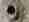 alt_text
