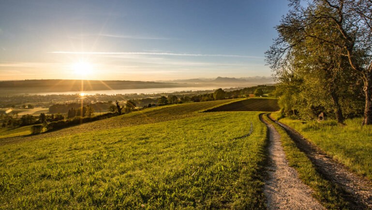 IMG_3991_ohne_Signatur_AgrIQnet