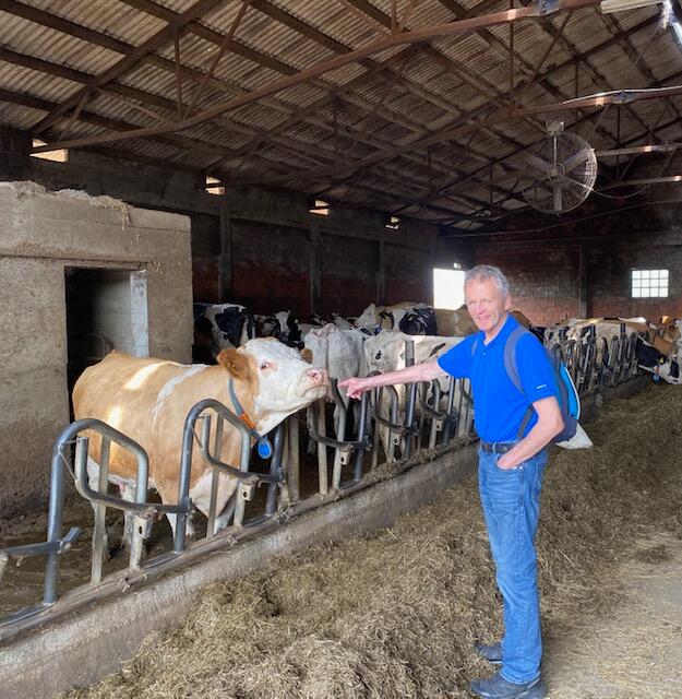 Milchviehbetrieb in Varazdin