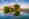 alt_text