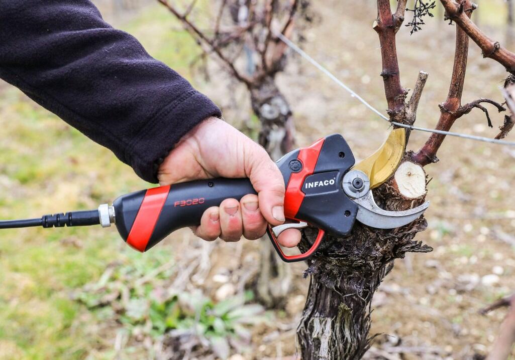 Die Technik hinter dem perfekten Rebschnitt