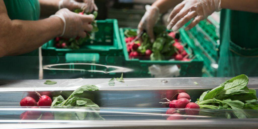 Einigung im PRE-Projekt «Bio Gemüse Seeland»