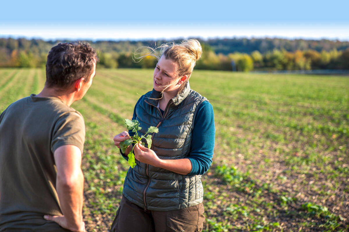 Nur wer einen Lohn bezieht, ist abgesichert