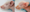 IUGR Ferkel_Bild online