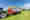 JUMBO_7380_Steyr_Grassilage_069_sat__hq