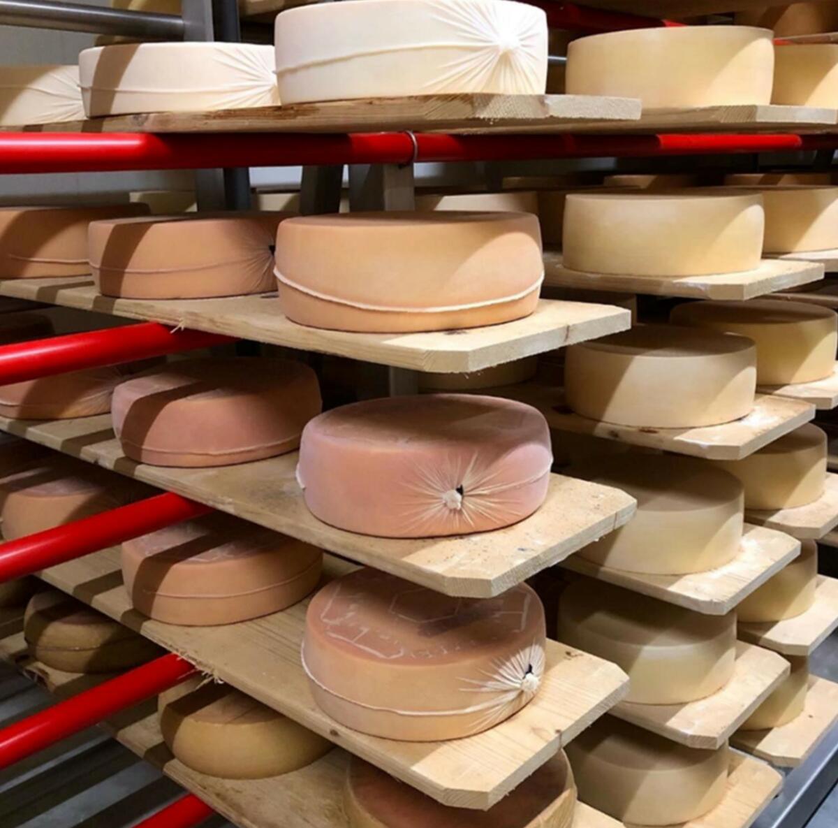 De haut en bas: fromages fraîchement emballés et jusqu’à trois mois d’affinage, conditionnés selon le nouveau procédé. 