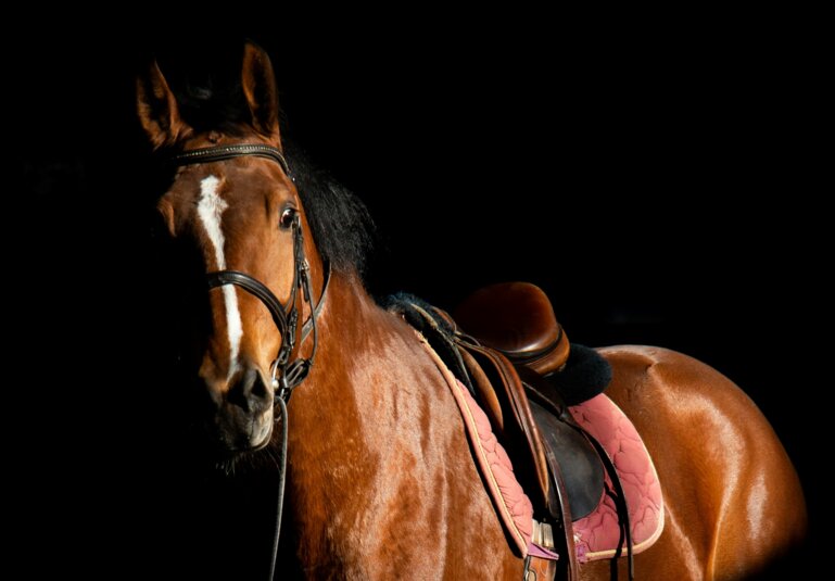 karin-zabret-W7vc1_6dQZE-unsplash