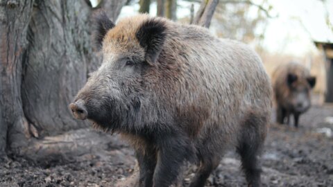 kevin-jackson-oSaq0J4zGE0-unsplash_