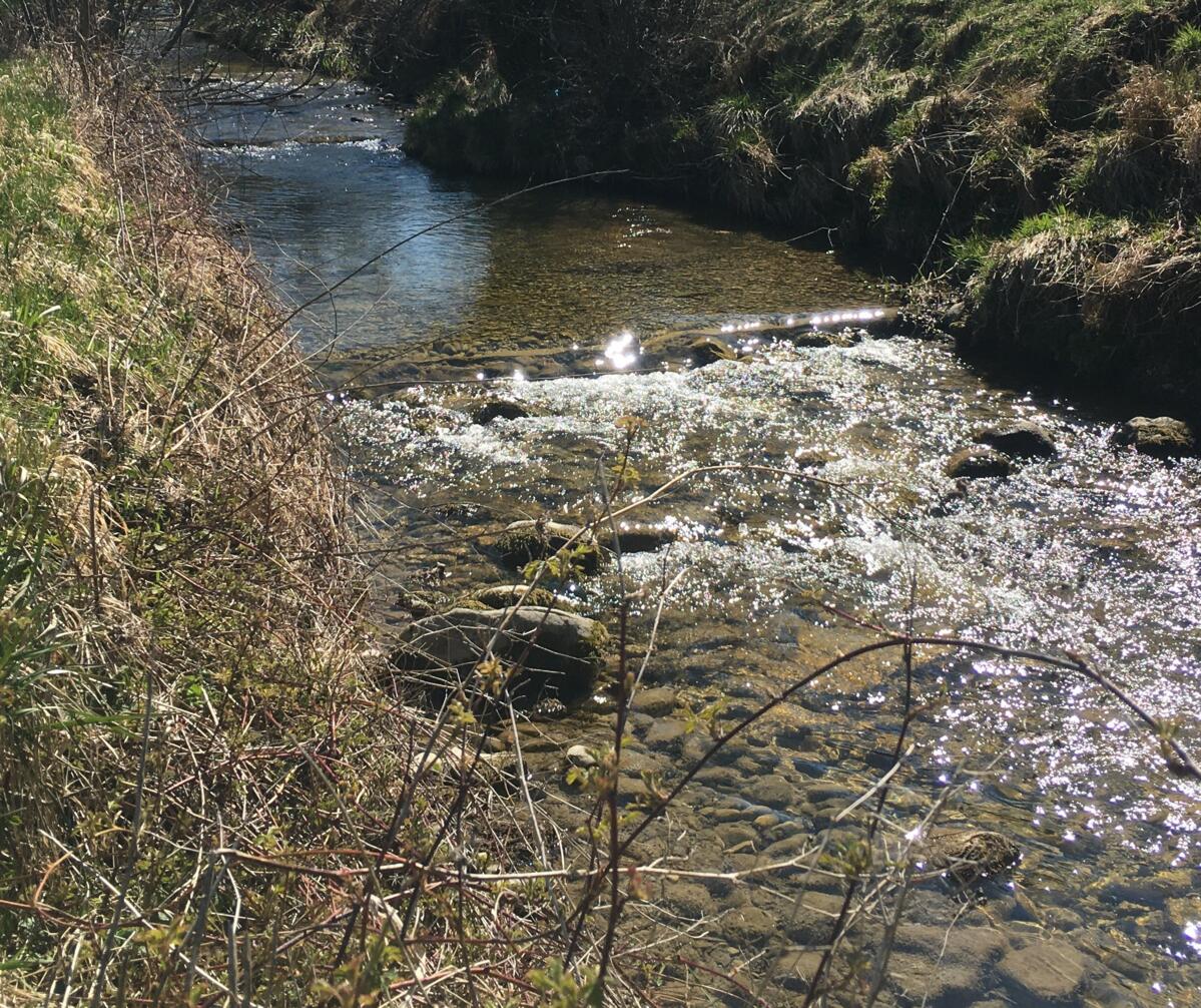 Révision de l’ordonnance sur la protection des eaux