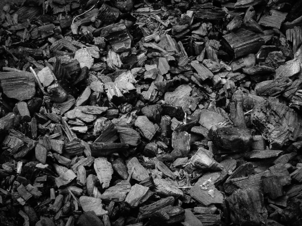 In der Schweiz lässt sich die Pflanzenkohle vor allem für den Klimaschutz und die Reduktion von Nitratauswaschung sowie von Emissionen aus der Tierhaltu...