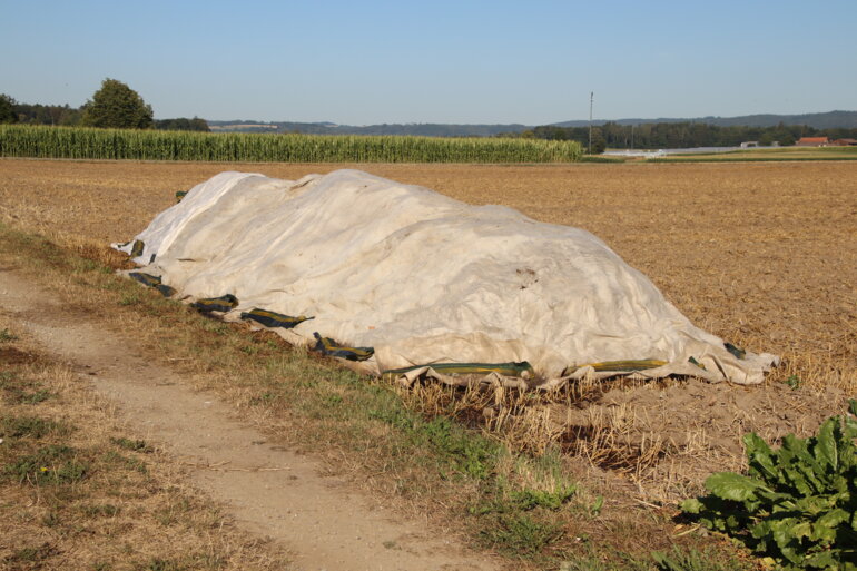 Kompostierung von Ökoheu