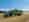 KRONE_GX_360_PLUS_en_moisson