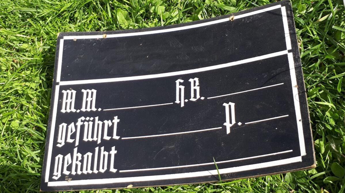 Den richtigen Kuhnamen zu finden ist gar nicht so einfach. Gut gibts da die Kuhnamen-Liste der UFA-Revue.
