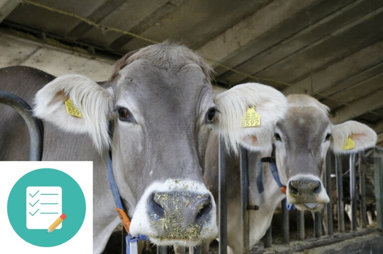 la vache avec liste de contrôle