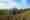 LA_RS57_Serie5-085_Field_001