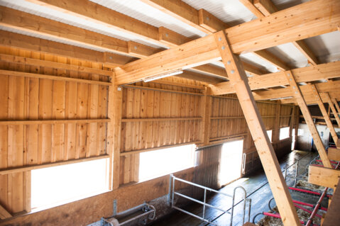 Laufstallanbau 1_Strüby