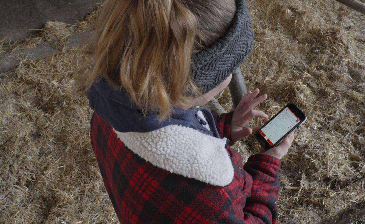 Une surveillance optimale de la génisse à la vache tarie