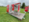 Lely_1000er_Astronaut_A5_Schweiz