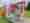 alt_text