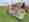 lely_1000er_astronaut_a5_schweiz_i1200_