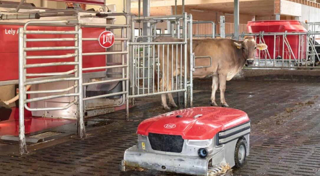 Automatisierung  im Stall – Vier gute  Gründe