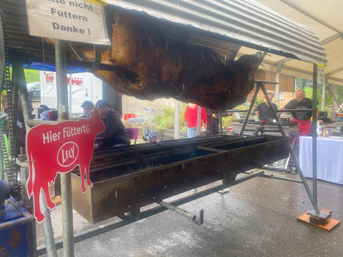 Ein Ochse für rund 900 hungrige Gäste.