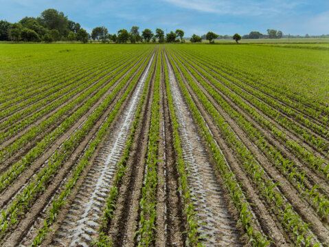 LEMKEN_Azurit_Tramline