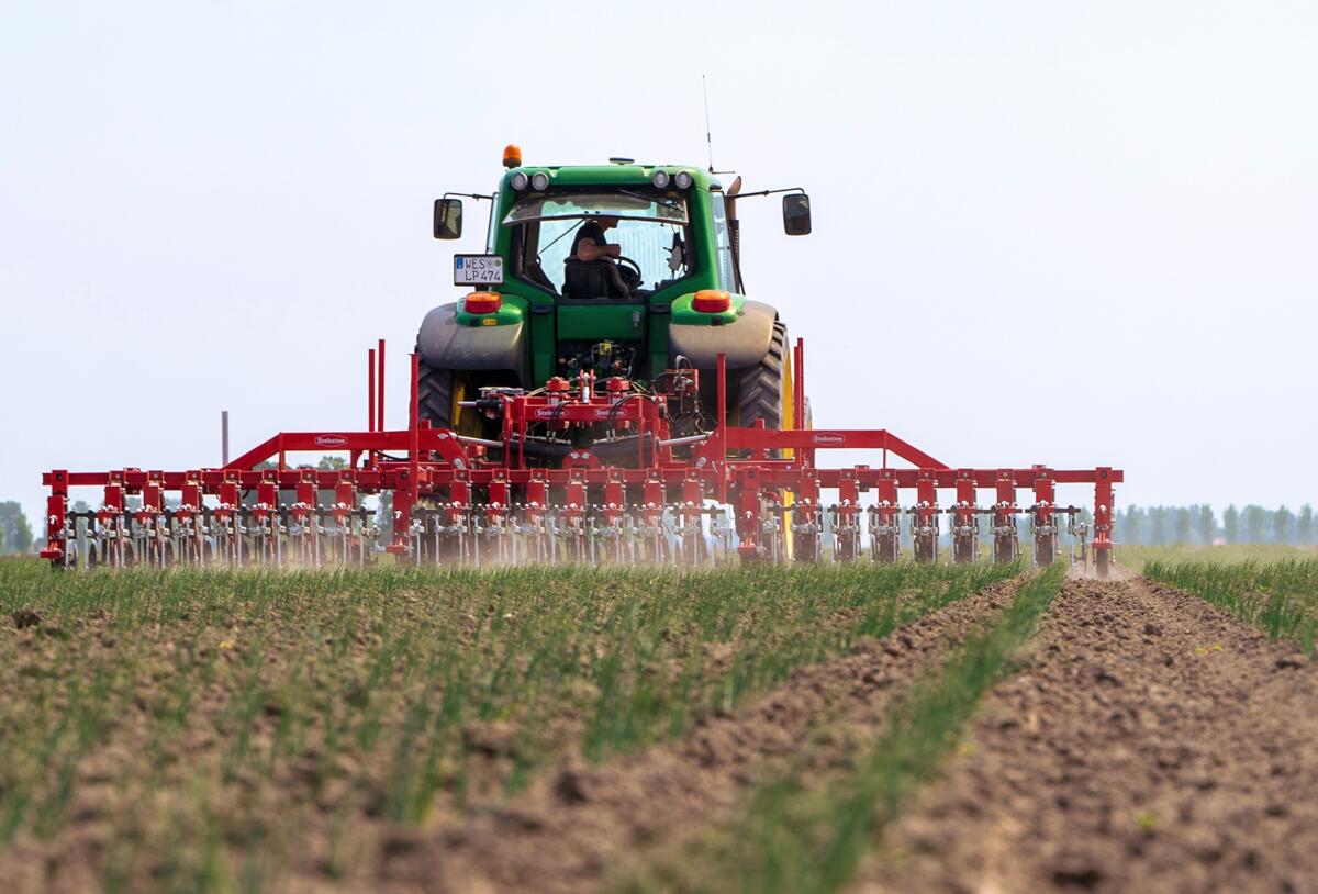 Neue Kamera verbessert die Erkennung von Blautönen