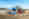 LEMKEN_Solitair MR_Zirkon_Einsatz