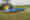 LEMKEN_Thulit_Detail