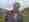 alt_text
