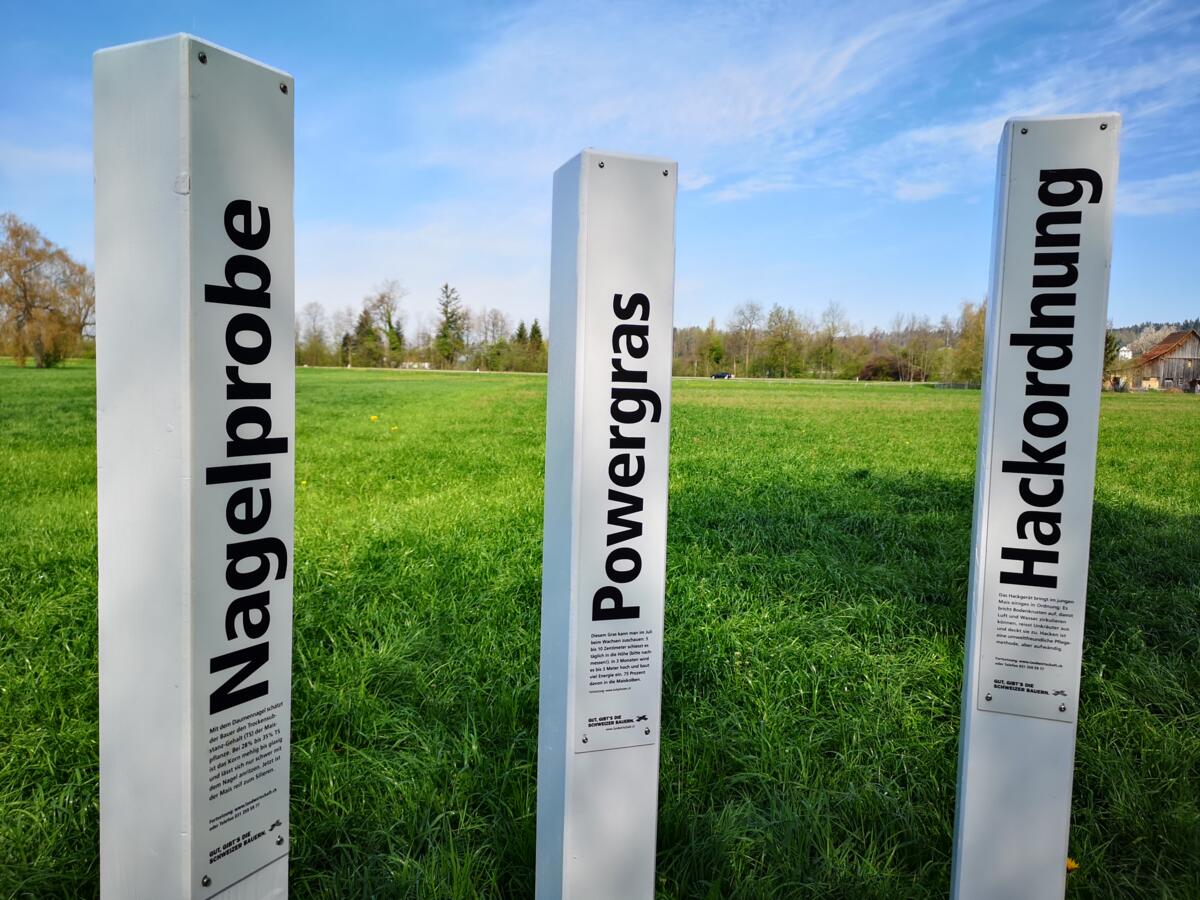 Im 2022 haben sich über 150 Höfe an der Aktion Lockpfosten beteiligt.