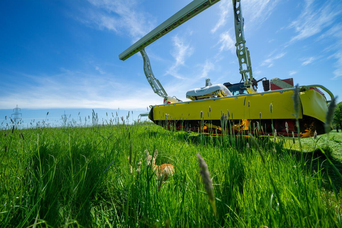 Sensosafe: Innovative Sensortechnik 