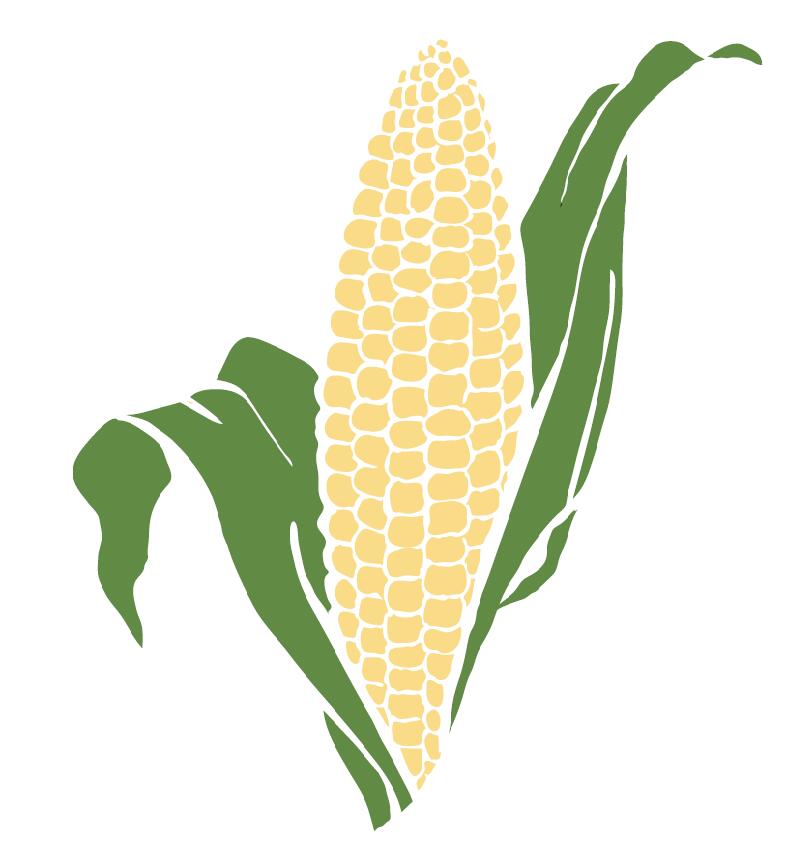 Le stade de maturité est optimal