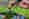 alt_text