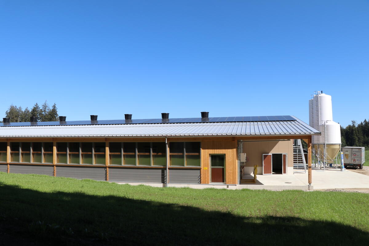 Die Photovoltaik-Anlage auf dem Dach führt zu einem Energieüberschuss, der auf dem Betrieb genutzt wird. 