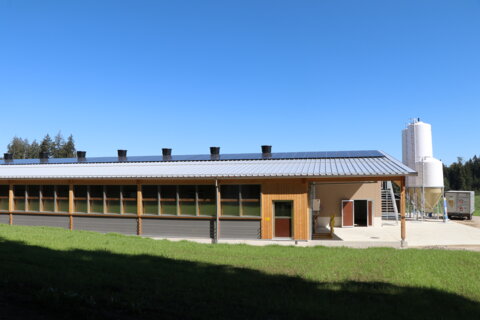 Maststall_Zimmerwald_Stall_as