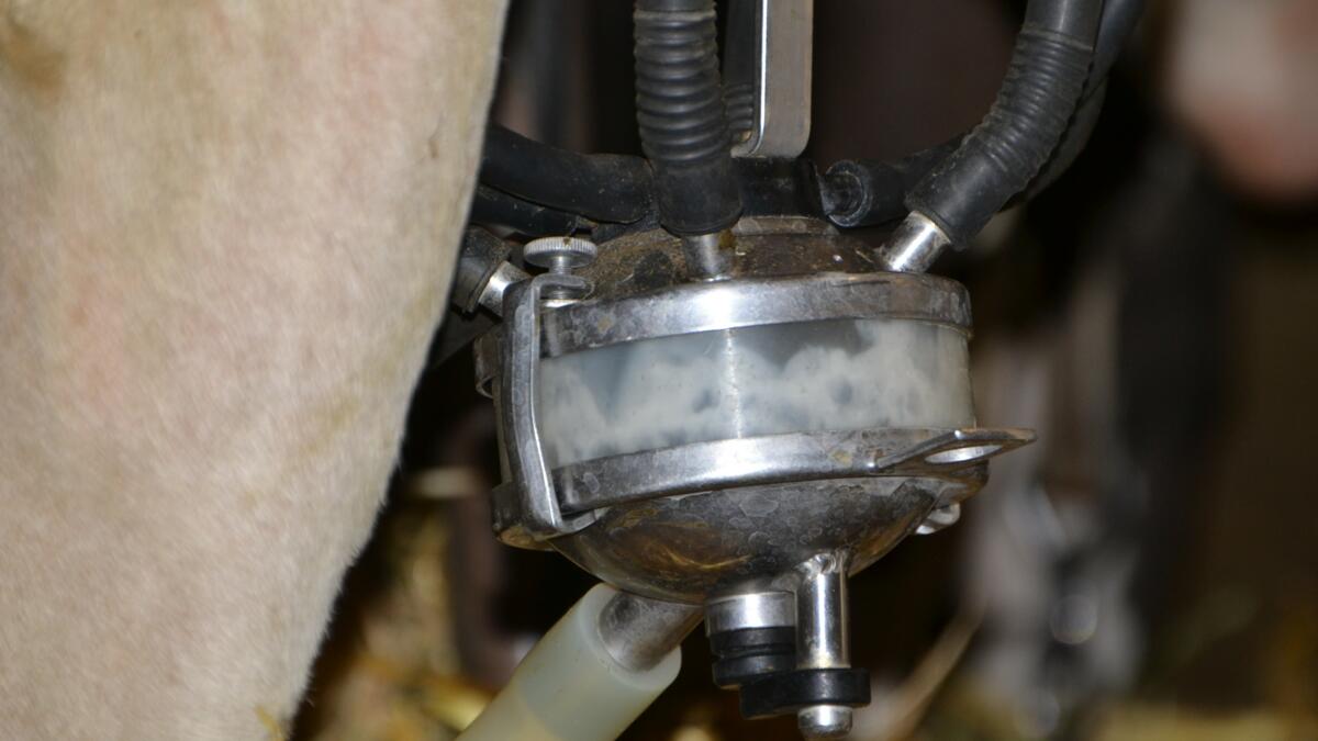 Neue und einheitliche Lösung für "Gefrierpunkt"