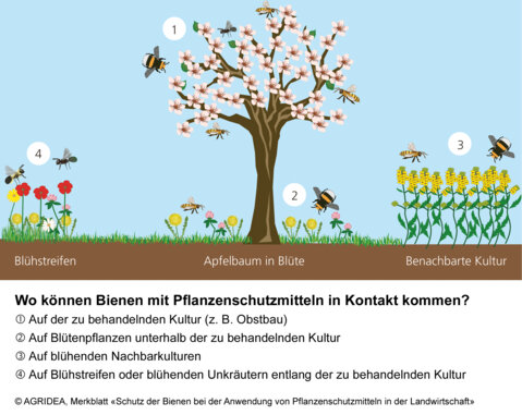 Merkblatt_Bienen_Agridea_D