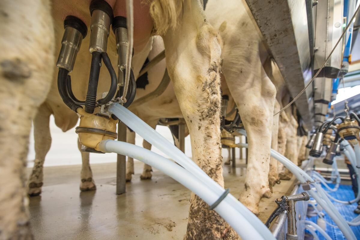  Contrôle du lait réglé jusqu'en 2024