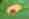 alt_text