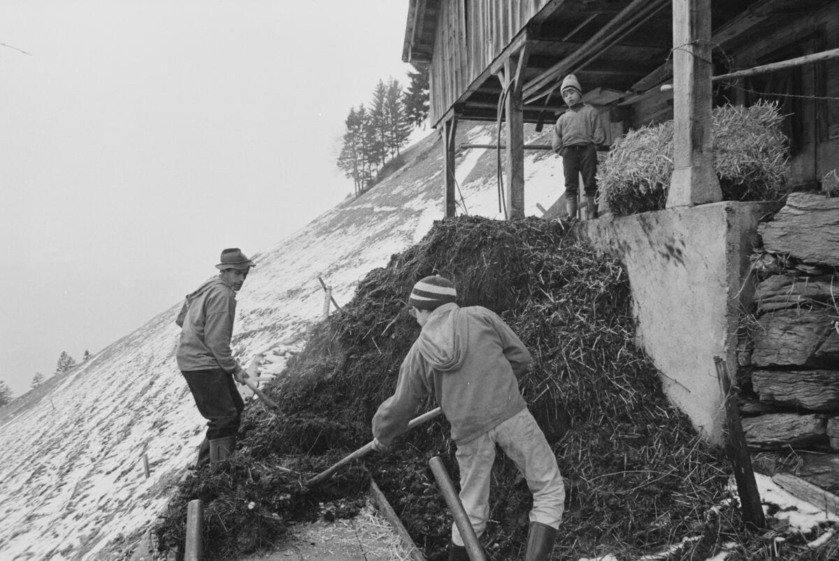 misthaufen_ETH Archiv_Baumann