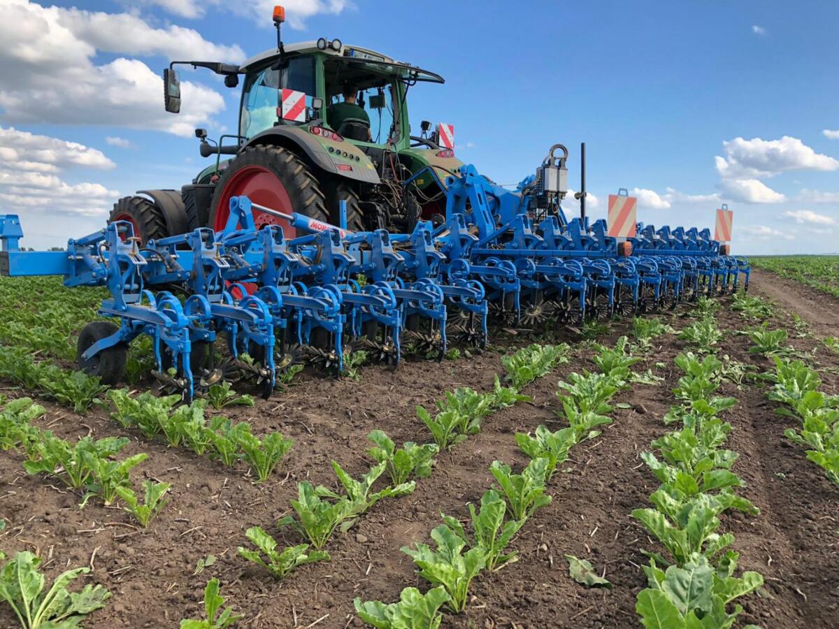 Die Wahl der Ausstattung, die Einstellungen und der Zeitpunkt der Intervention sind entscheidend für eine effiziente Unkrautbekämpfung in Hackfrüchten.