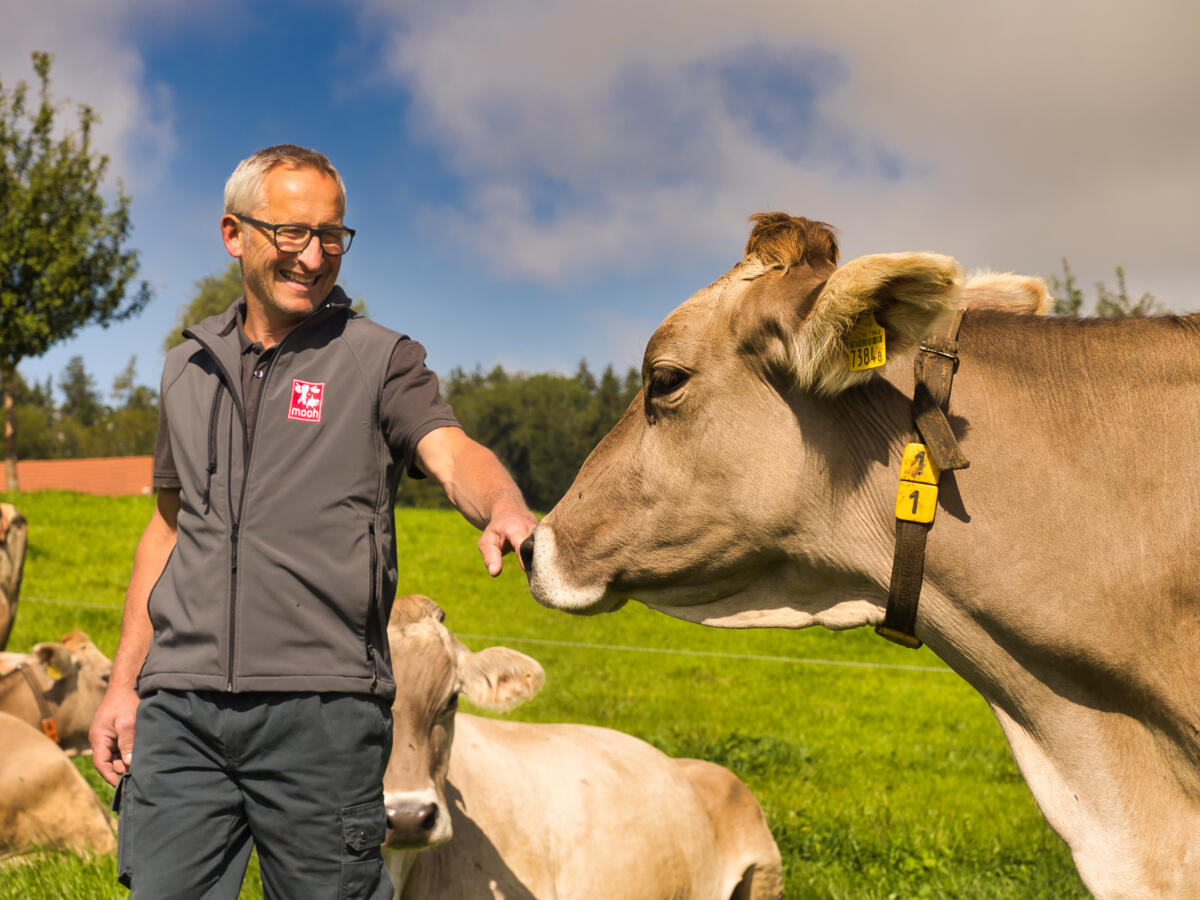 Mehrwert für die mooh Mitglieder im Fokus