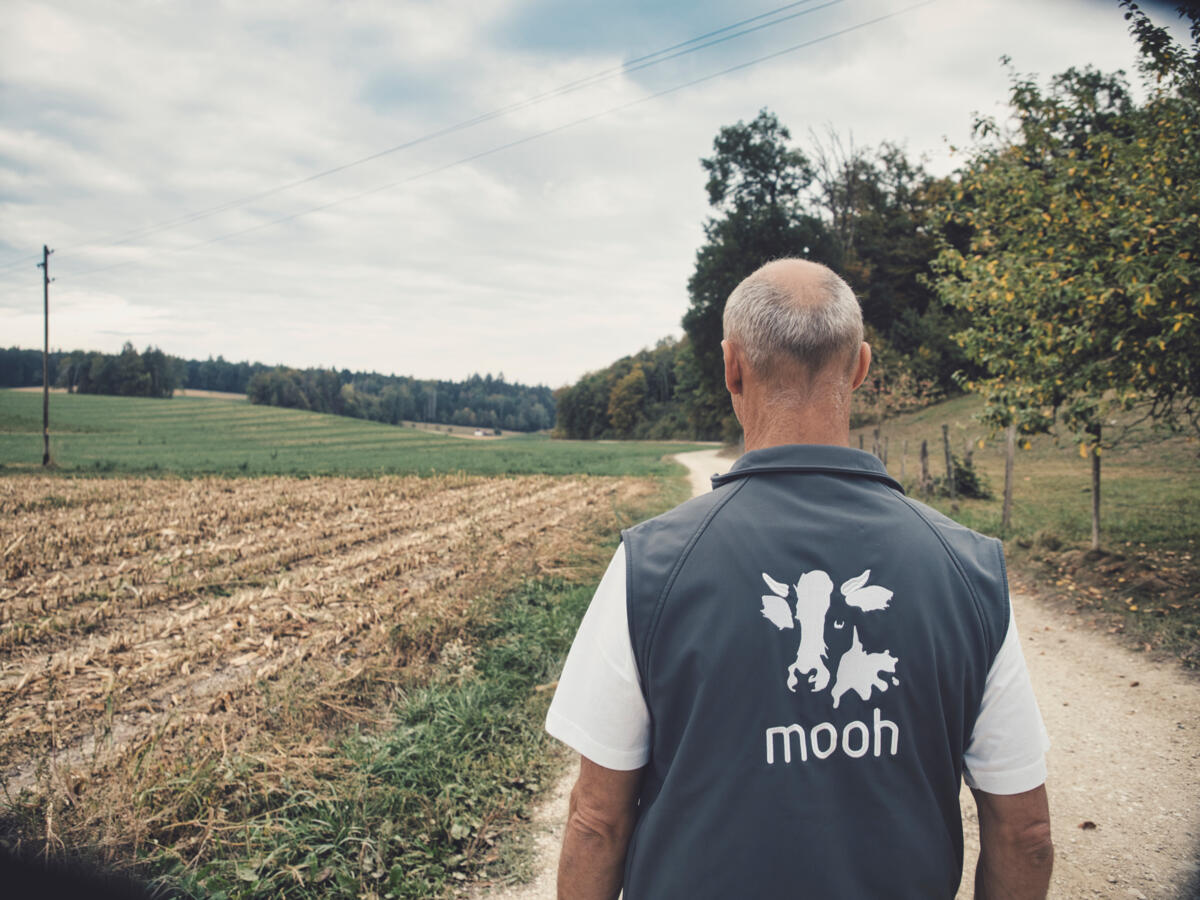 Sur la bonne voie : mooh s'attend à ce que le prix du lait PER ensilage soit encore plus élevé que l'année précédente au cours du premier semestre 2021.