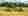moorland_pixabay_d