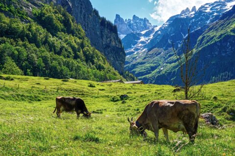 mountains-5290992_1920