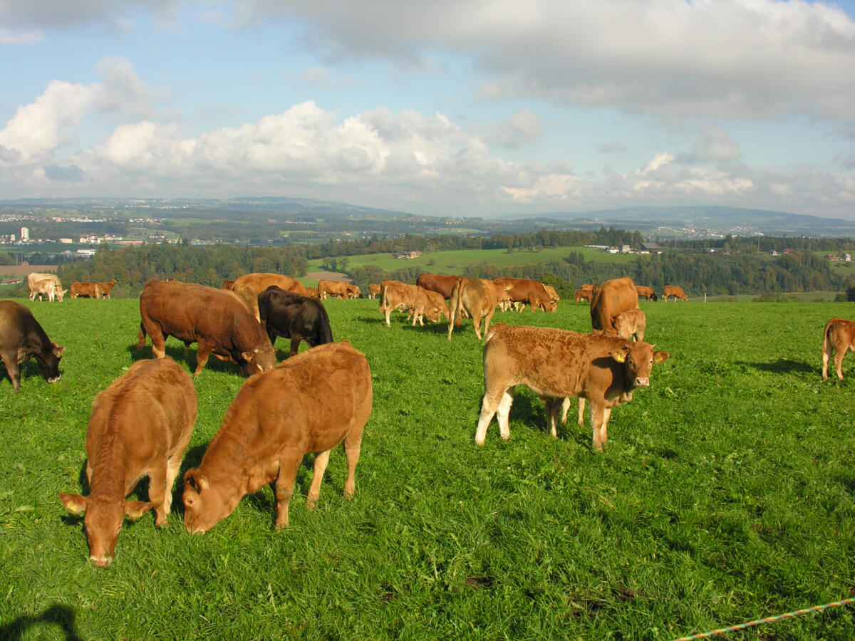 Pilotprojekt: Kontrollaufwand für Landwirtschaftsbetriebe reduzieren