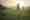 myt_1024_grass-1296353