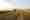 myt_1025_fields-5282497